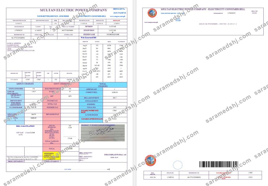 PAKISTAN MULTAN ELECTRIC POWER business utility bill Word and PDF template, version 2